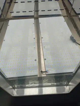 Science Laboratory Equipments: School Incubator Lighting and Plant Growth Chambers