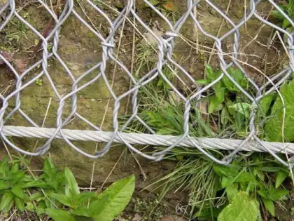 Roadside Wire Mesh netting Barrier