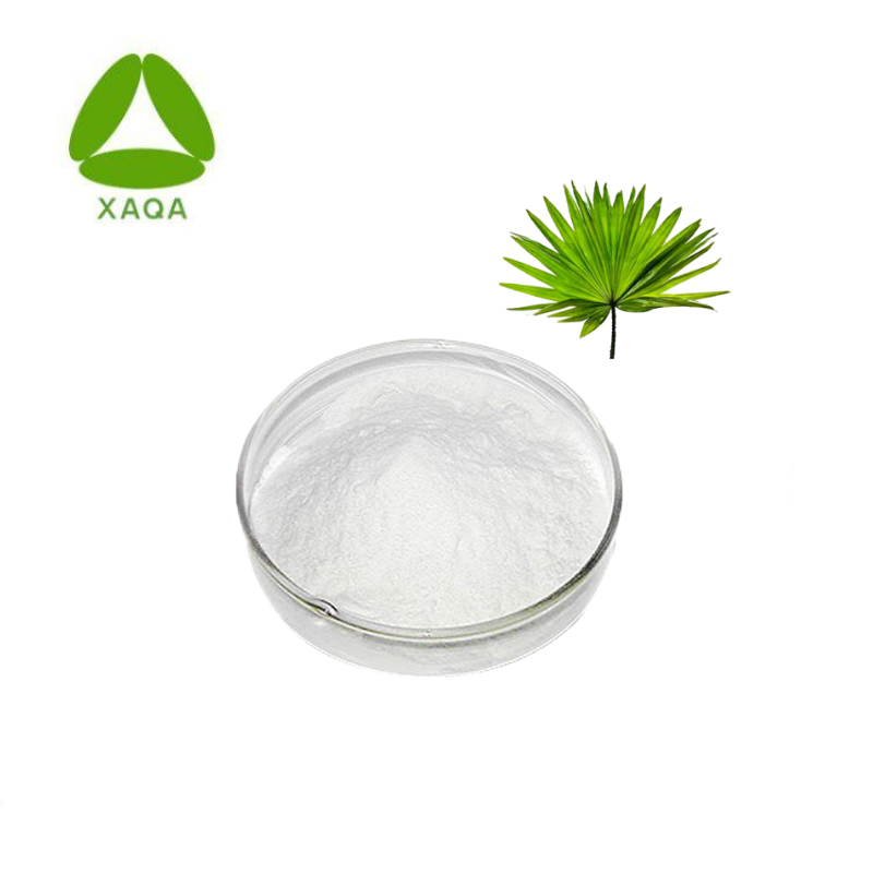  Saw Palmetto Extract 