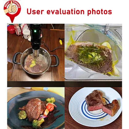 Anova Professional Sous Vide Stick for Vacuum Slow Cookers