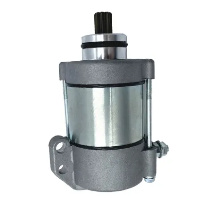 TERFU Motorcycle Engine Parts - Starter for KTM EXC-E 250/300