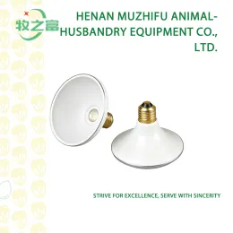 Farm Waterproof LED Light