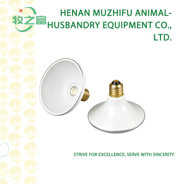 খামার জলরোধী LED আলো