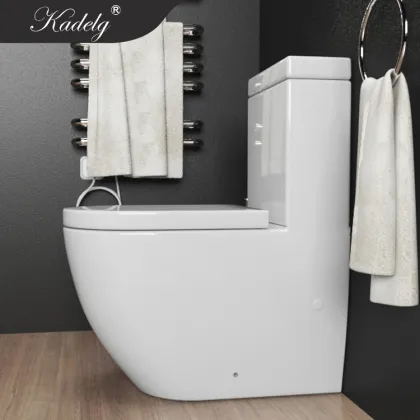 Top Italian Toilet Brands for Your One Piece Bathroom Design