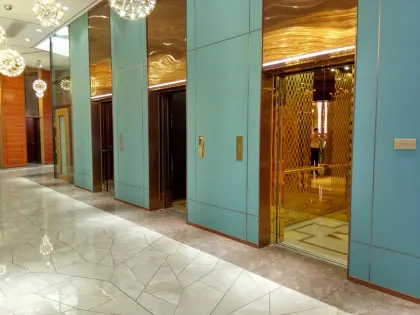 Golden Color SIGLEN Passenger Elevator Lift - China Manufacturer