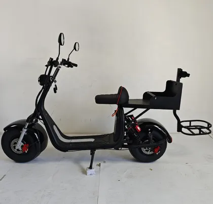 Electric Golf Scooters and Cart Motors for US/European Warehouses
