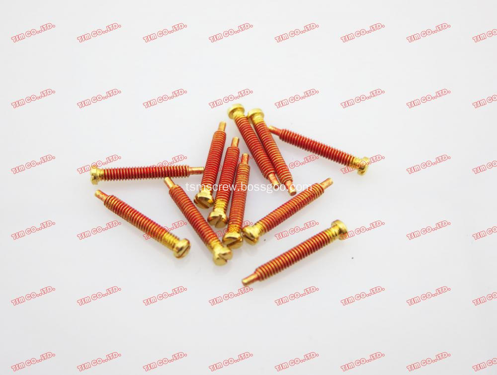 TSM GOLD RED SELF TAPPING SCREW