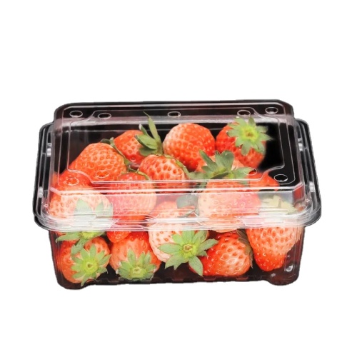 fruit tray plastic fruit tray pet