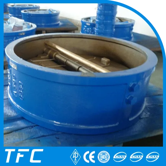 double disc wafer check valve