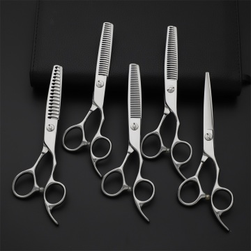 Professional Hairdressing Scissors 6 Inch Salon Hair Scissors Barber Cutting Scissors Thin Hairdressers Shears