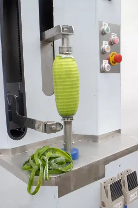 Automatic Tropical Fruit Peeler: Pumpkin, Pineapple, Mango, Jackfruit, Coconut, and Breadfruit