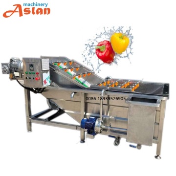 Bubble Ozone Vegetable Washing Machine