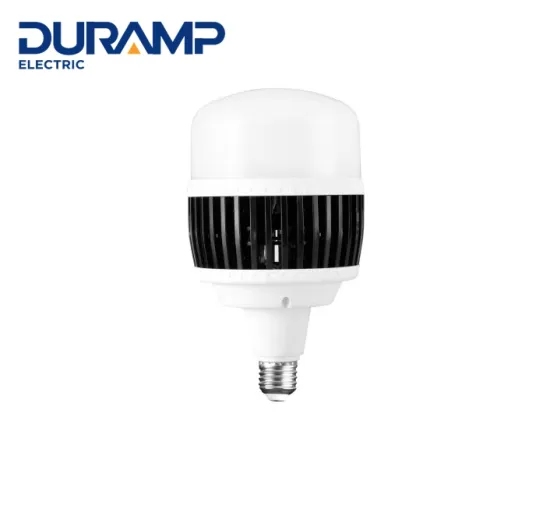 Duramp High power Led T bulb
