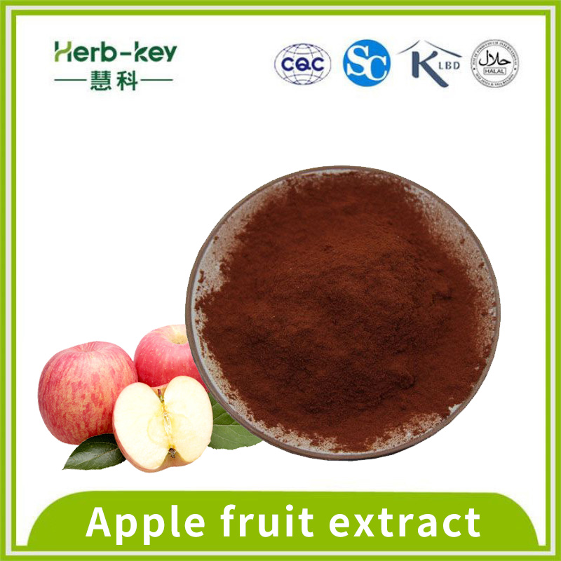 Antibacterial activity of apple polyphenol apple extract