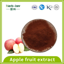 Antibakterielle Aktivität von Apfelpolyphenol -Apfel -Extrakt