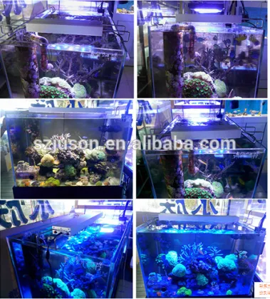 1200k cool white blue 14pcs*2w marine aquarium led light for aquarium marineland