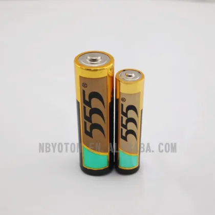 555 Alkaline battery AA AAA