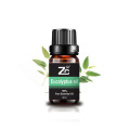 Eucalyptus Oil Essential oil for Diffusers Aromatherapy