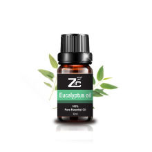 Eucalyptus Oil Essential oil for Diffusers Aromatherapy