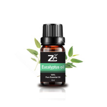 Mafuta ya Eucalyptus Mafuta muhimu kwa aromatherapy