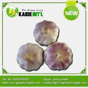 Fresh Vegetables red Garlic