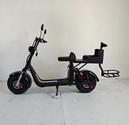 Electric Golf Scooters and Cart Motors for US/European Warehouses
