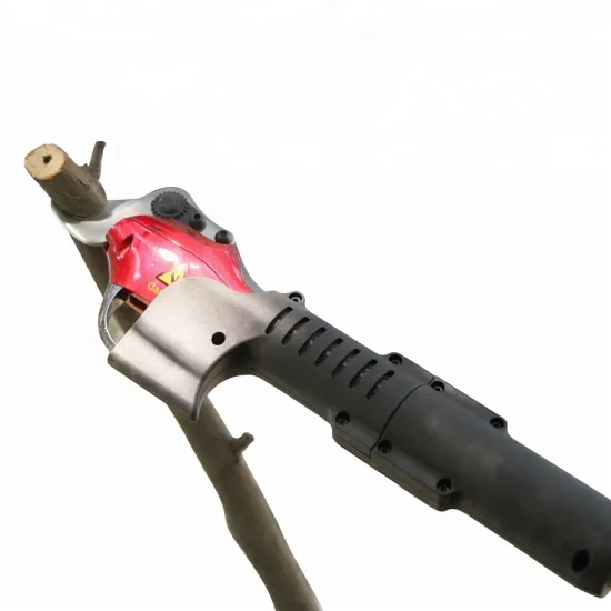 Telescopic Pole Electric Pruner with CE Certificate for Branch Cutting