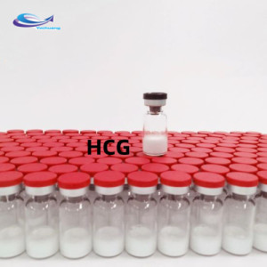 Human Chorionic Gonadotropin Steroids 5000iu HCG raw Powder