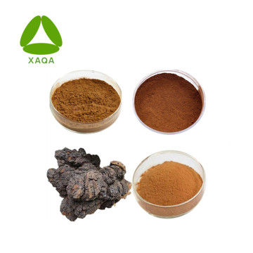 Natural Chaga Mushroom Extract Polysaccharide Powder