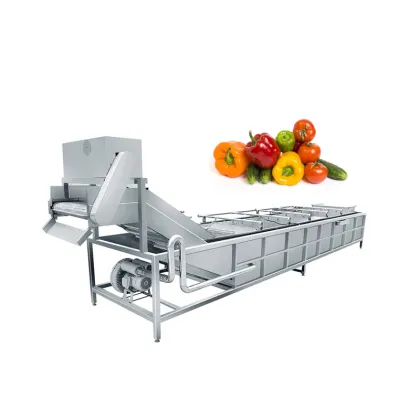 Professional Vegetable and Fruit Washer: Green Vegetable Washing Machine