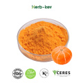 Free Samples Vegetable Powder Pumpkin Powder For Export