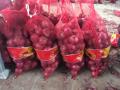 Bawang merah yang segar dalam beg Mesh 10kg