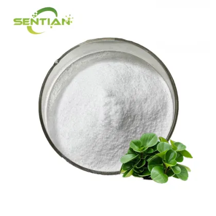 High-Purity Andrographolide 98% for Immune Formulas