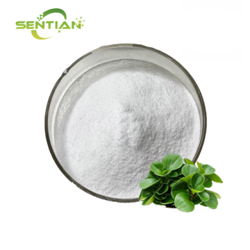 High-quality andrographolide extract