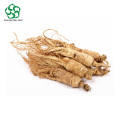 Extracto de raíz de ginseng ginsensides 80% polvo