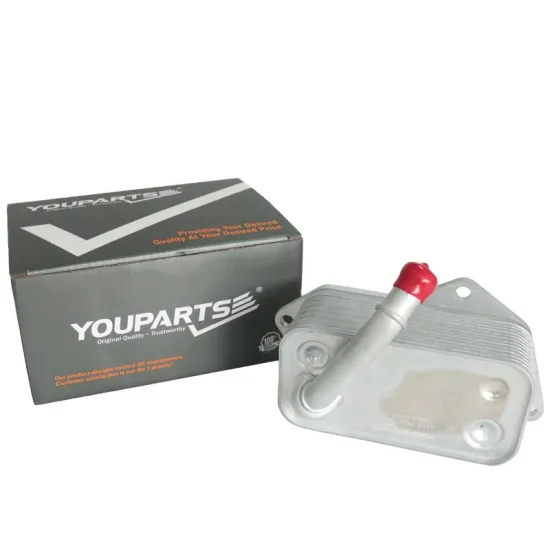 YOUPARTS Radiator Transmission Oil Cooler for BMW 535i 2008 F10