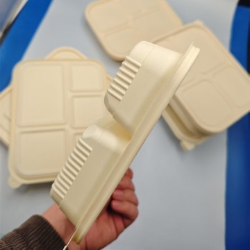 Fully Biodegradable PLA Lunch Box