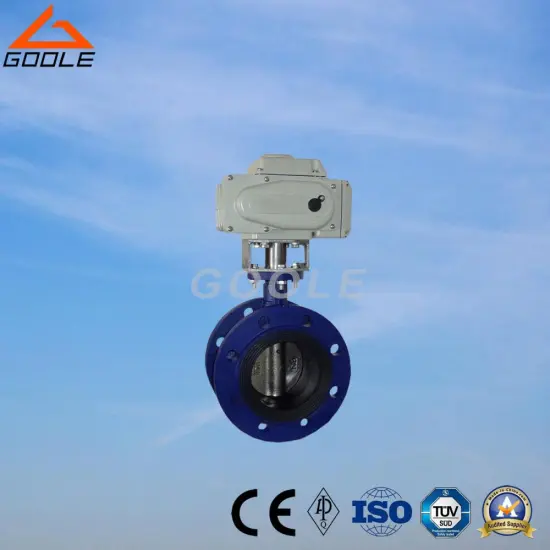 API 609 Wafer Lug Type Butterfly Valve (GAD71X)