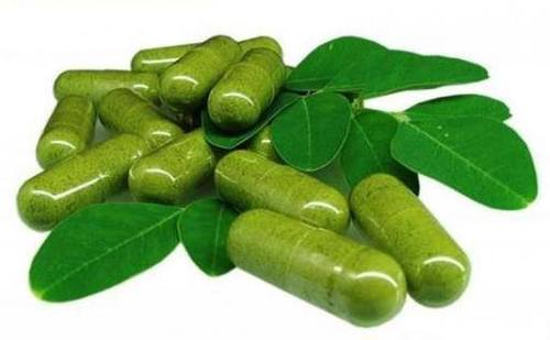 Moringa oleifera leaf extract powder 