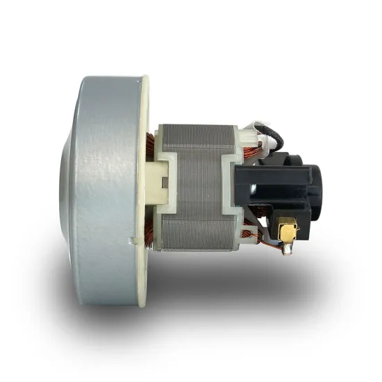 Vacuum Cleaner Motor PX-D-1: 300W Electrical Motor for Cleaning Appliances