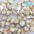 Vongole di fiume vive, carne di vongole congelate di alta qualità