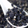 Qinghai Chaidamu Berry noir de qualité supérieure en vrac