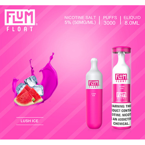 Flum float disposable vape 3000 puff