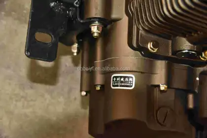 China LIFAN/LONCIN/ZONGSHEN/DAYANG 652cc Motorcycle Tricycle Engine for Sale