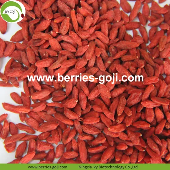 Factory Supply Dried Red Fruit Goji Berry