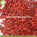 Fabriekslevering gedroogde rode fruit goji-bessen