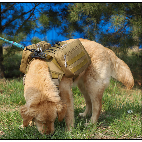 Hund im Freien Sportrucksack