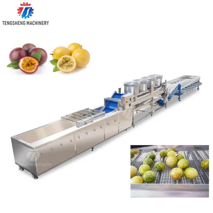 Passion Fruit Washing Air Drying Selecting Machine for Farms