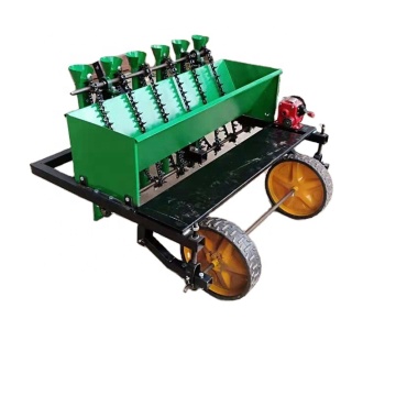 Hot Sale 6-Row Garlic Seeder/Garlic Planter for Myanmar Export