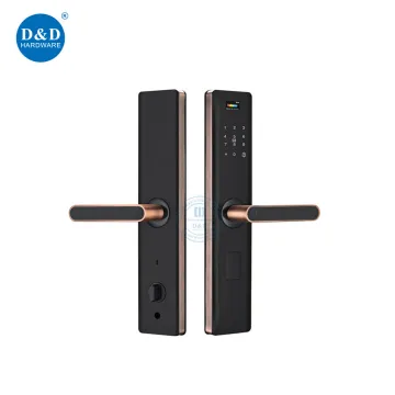 Remote Control Smart Villa Door Lock with Screen